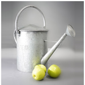 DUNLIN Home, Gifts for the Garden
